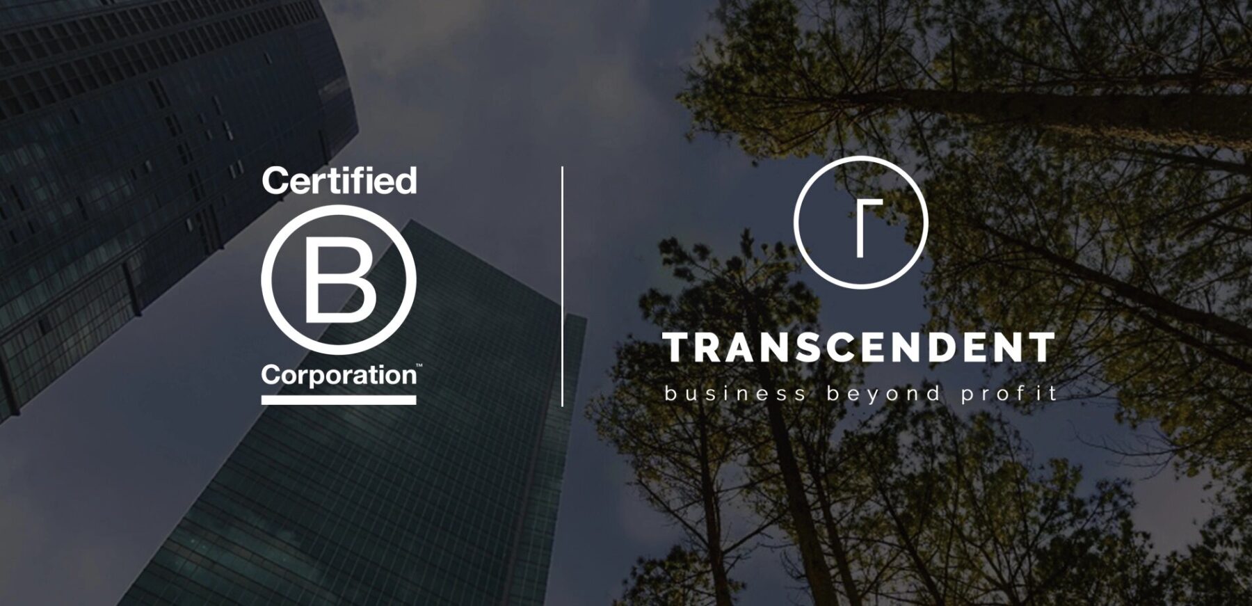 Transcendent ya es una empresa B Corp