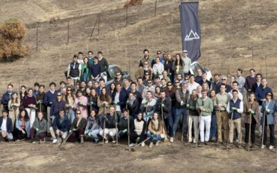 A&G y 40 gestoras plantan 800 árboles en Tres Cantos tras un incendio